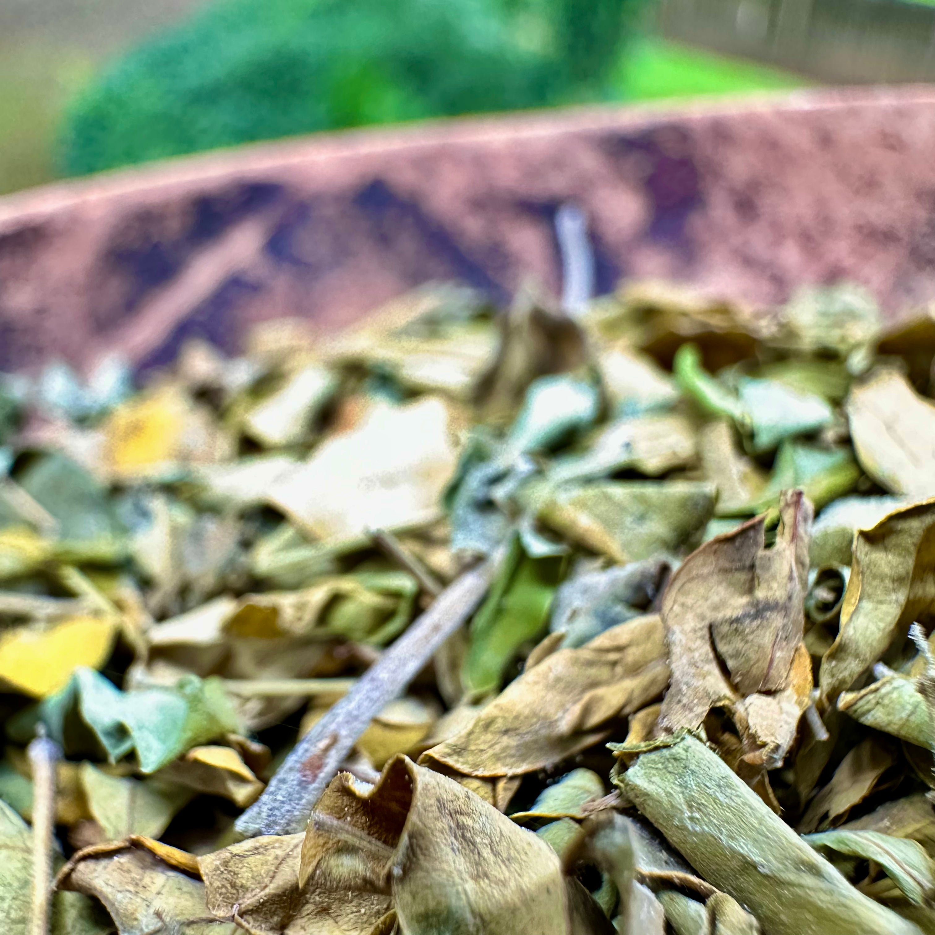 Jamaican Moringa Leaves
