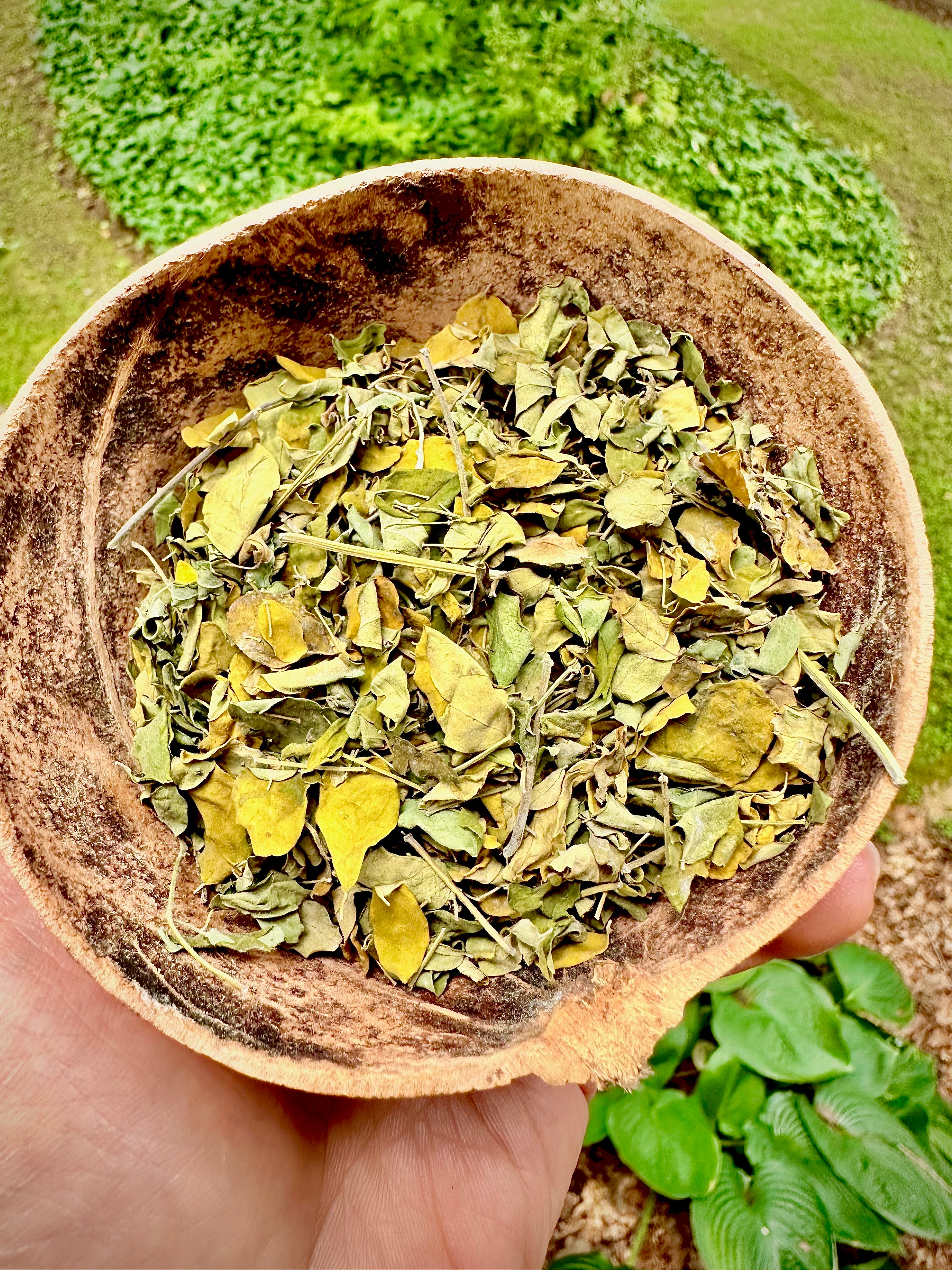 Jamaican Moringa Leaves