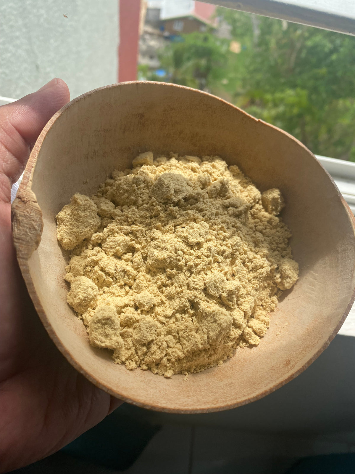 Jamaican Stinking Toe Fruit Powder