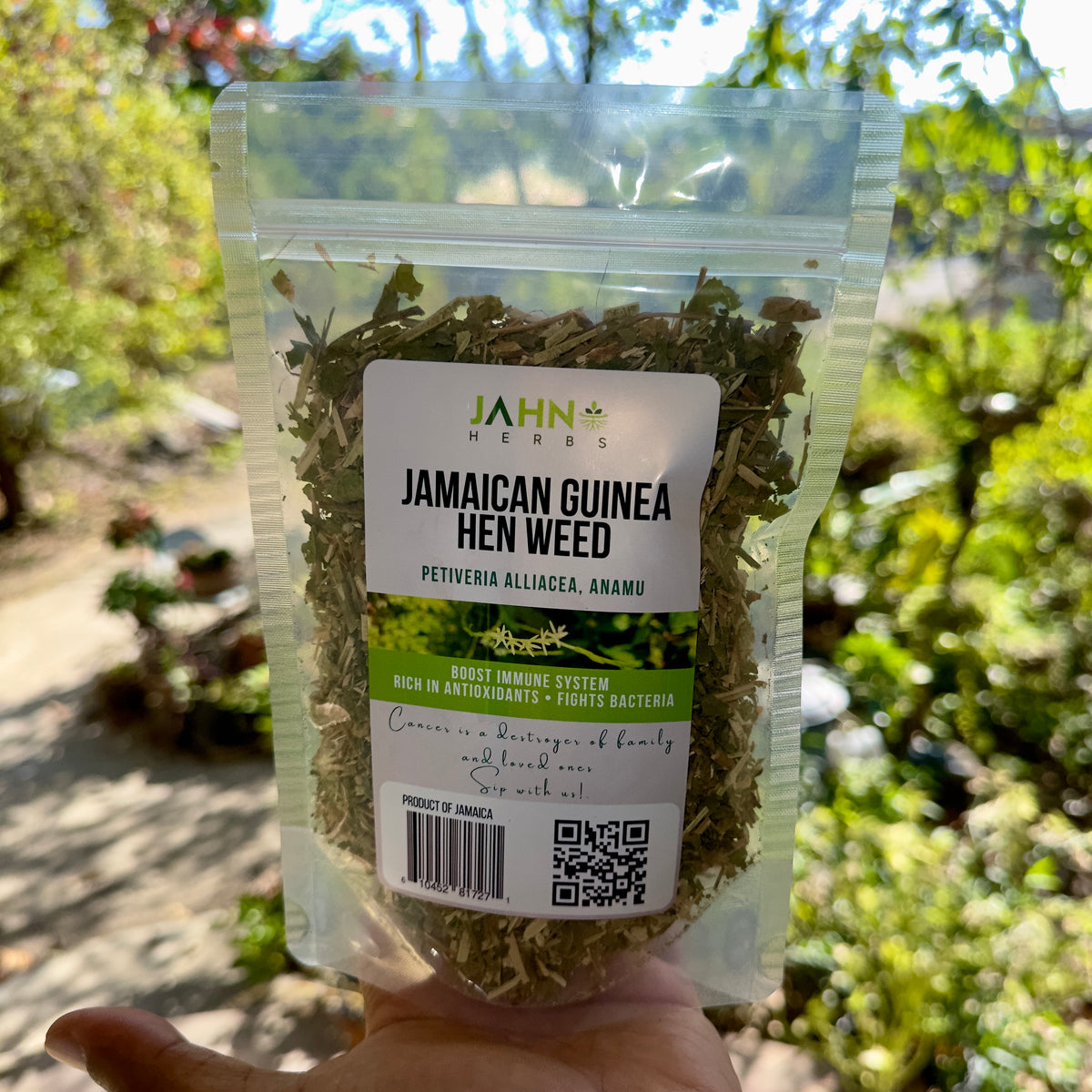 Jamaican Guinea Hen Weed Loose Herbal Tea