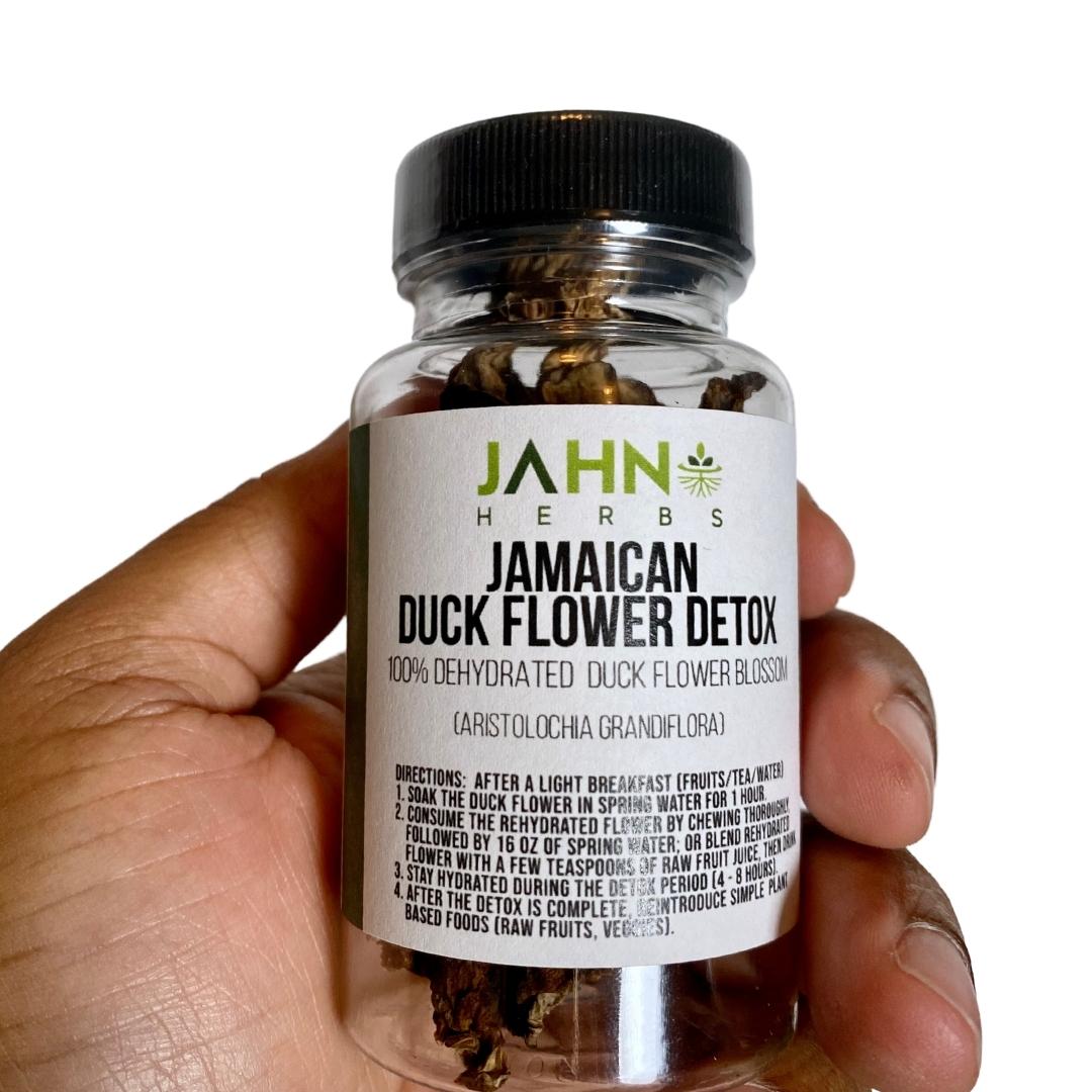 Jamaican Duck Flower