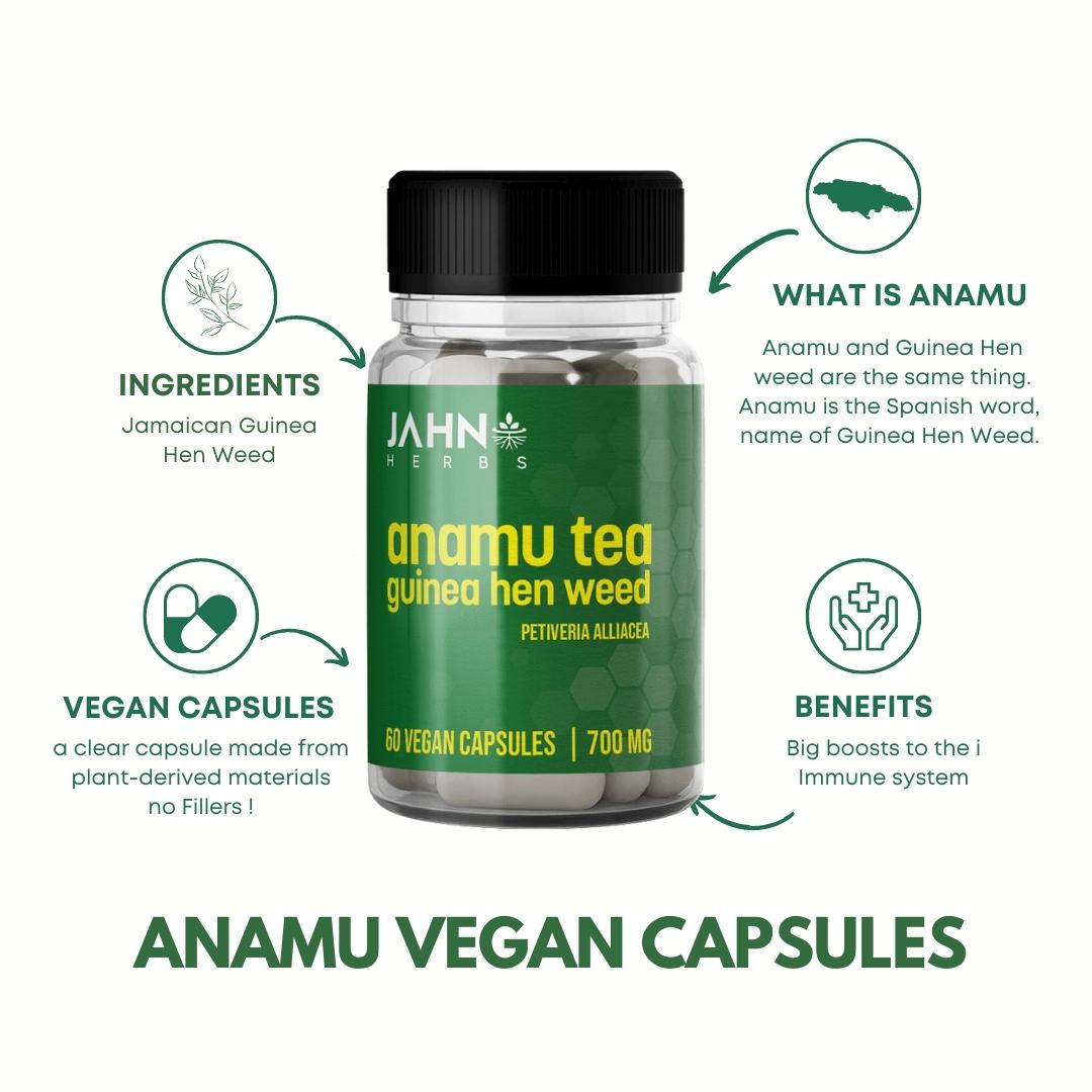 Jamaican Guinea Hen, Anamu  Vegan Capsules