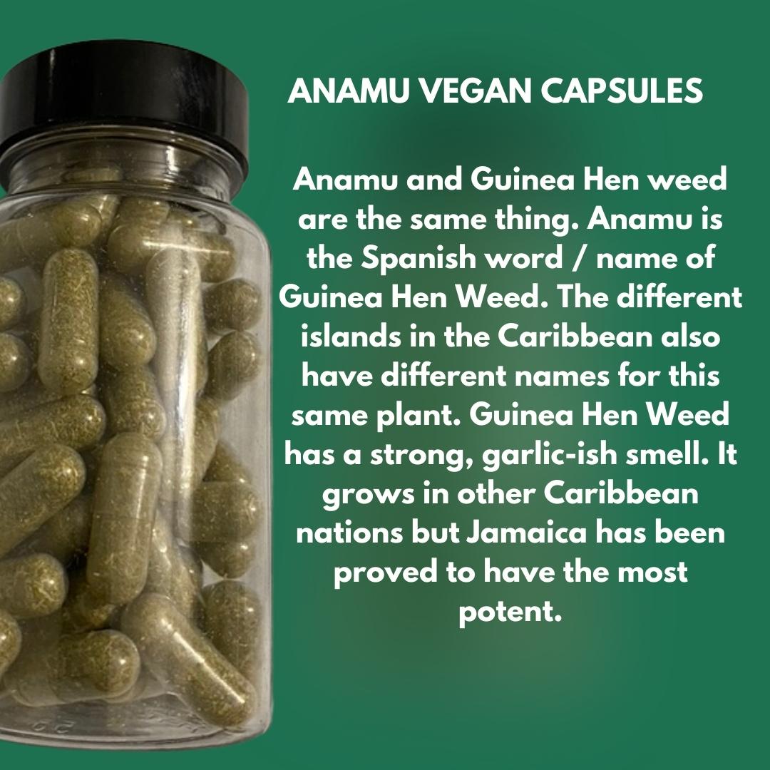 Jamaican Guinea Hen, Anamu  Vegan Capsules