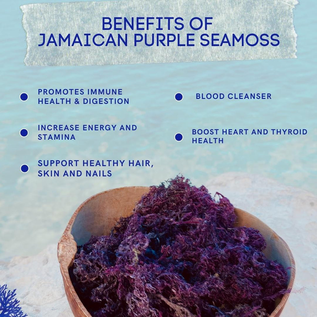 Jamaican Purple Sea Moss (Raw, Wildcrafted) - Jahno Herbs