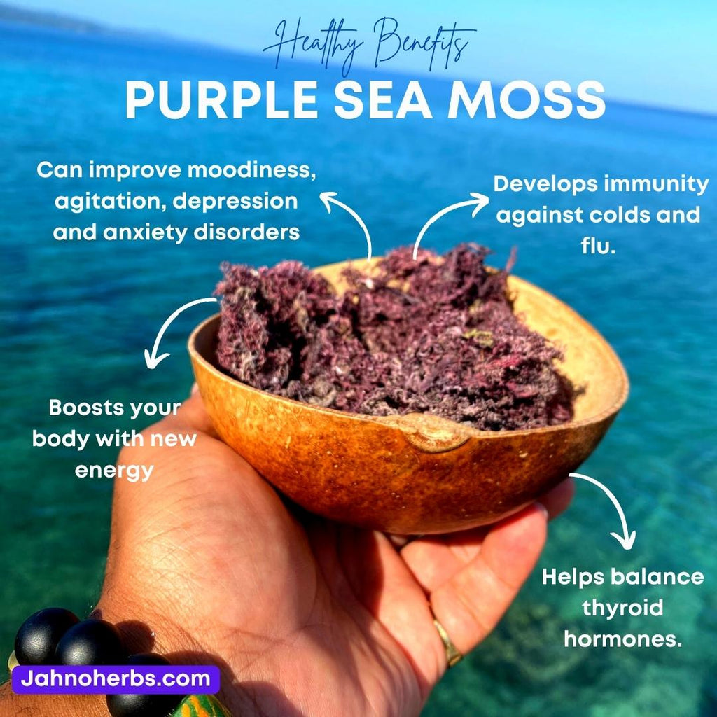 Jamaican Purple Sea Moss (Raw, Wildcrafted) - Jahno Herbs