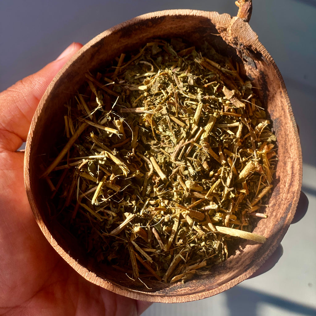 Jamaican Guaco Mikania (Wildcrafted, Air-Dried, Alkaline Herb) - Jahno Herbs