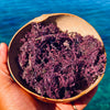 Jamaican Purple Sea Moss (Raw, Wildcrafted) - Jahno Herbs