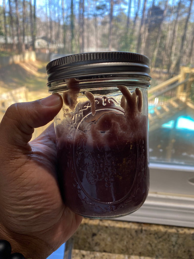 Jamaican Purple Sea Moss (Raw, Wildcrafted) - Jahno Herbs