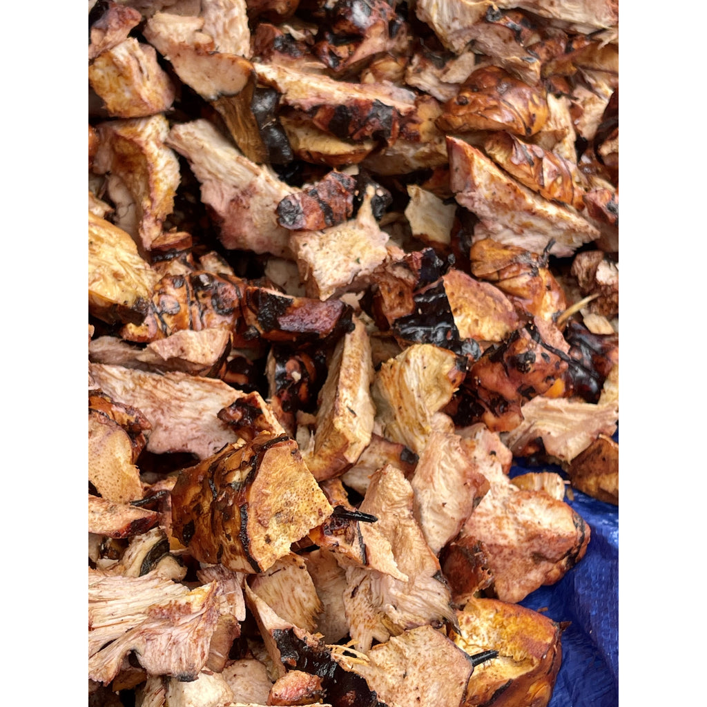 Hanet Root Jamaican Chaney Root, Cocolmeca – Jahno Herbs