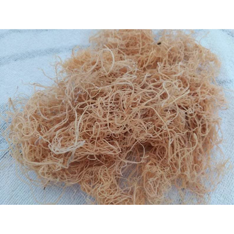 Sea Moss Gold Spaghetti (Wildcrafted) 3 oz Origins: Jamaican - Jahno Herbs