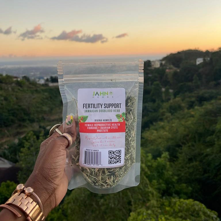 Jamaican Dogblood Herbal Tea, Wildcrafted