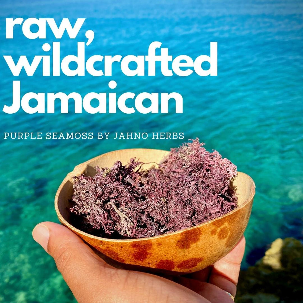Jamaican Purple Sea Moss (Raw, Wildcrafted) - Jahno Herbs